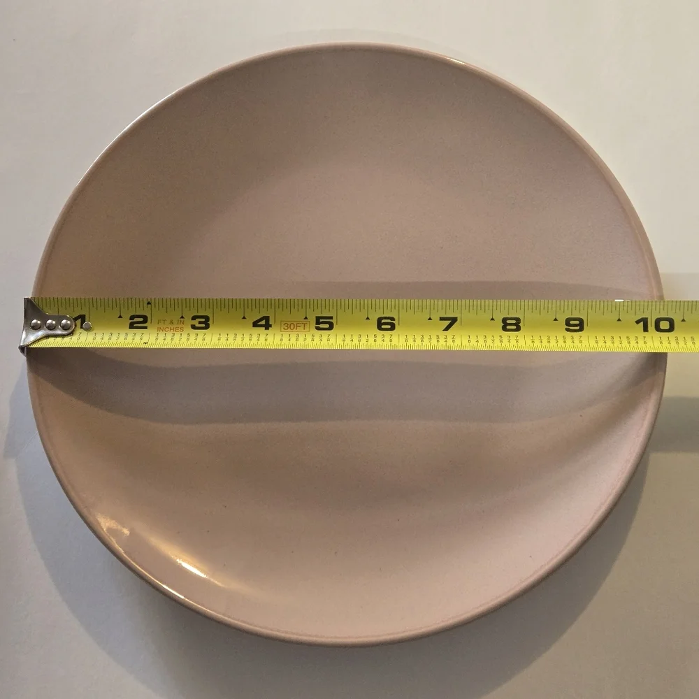 Set of Two Pink Dinner Plates